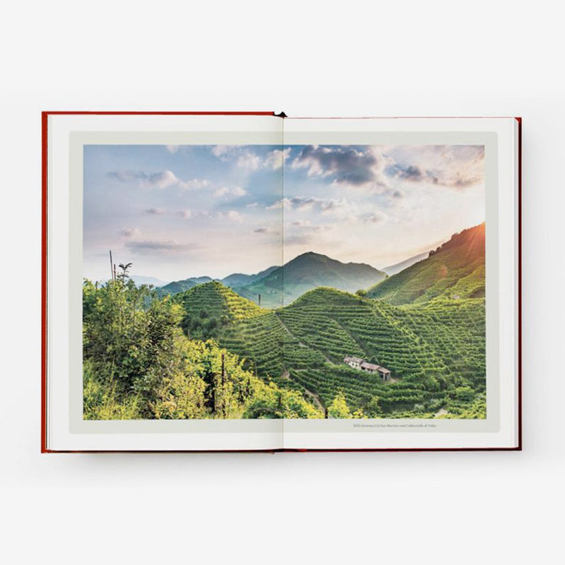 Prosecco & Spritz – Entdecken Sie diesen glamourösen Wein und seine Aperitifs