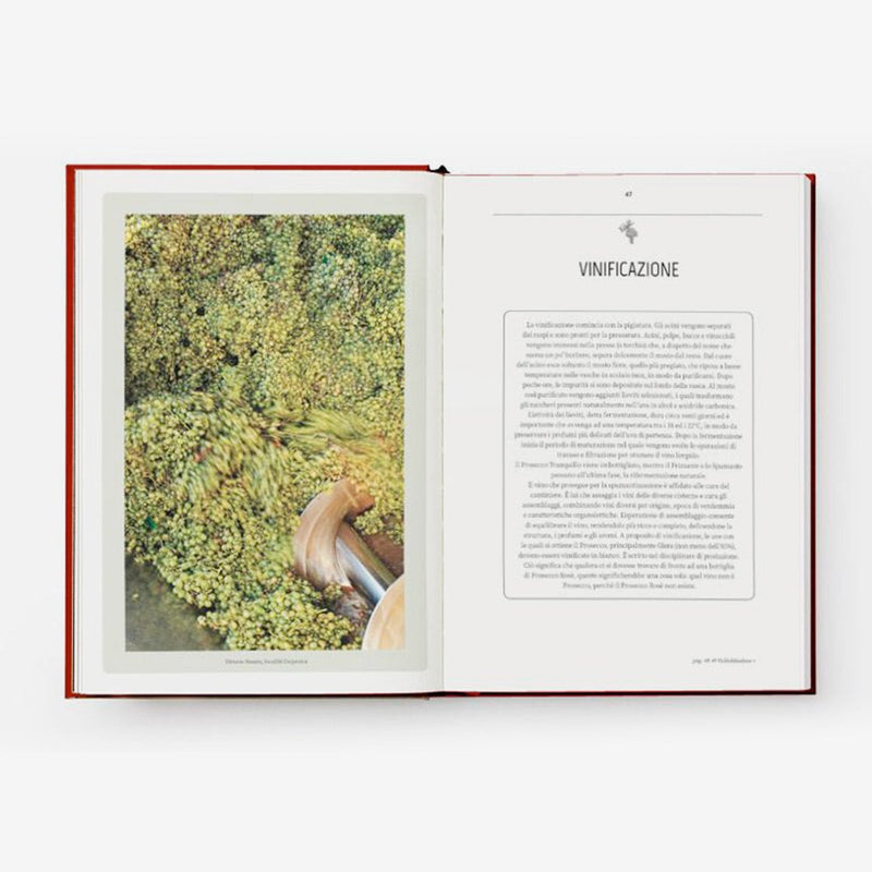 Prosecco & Spritz – Entdecken Sie diesen glamourösen Wein und seine Aperitifs