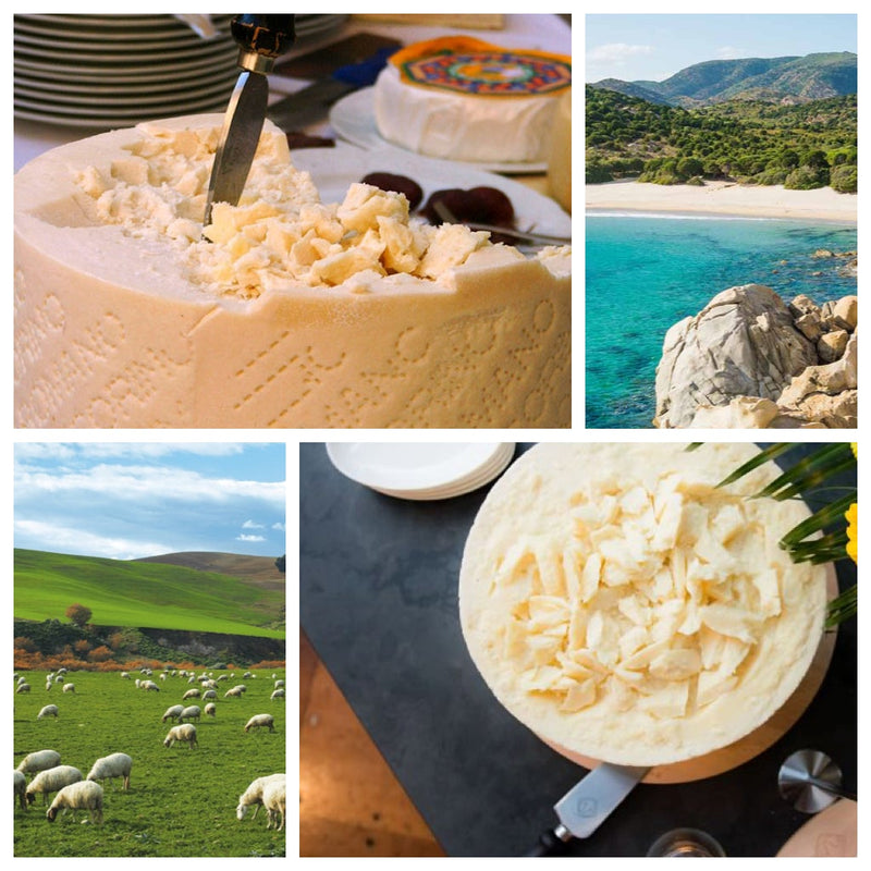 Pecorino Romano Italienischer Käse Dop