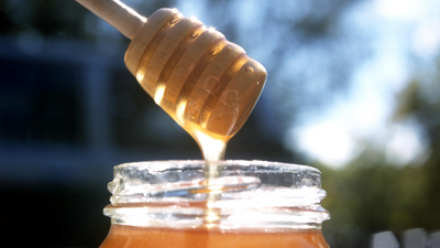 Organic honey: the sweet healthy alternative!