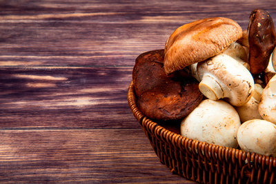 Porcini mushrooms: a flavourful addition to your dishes