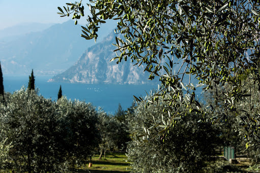 garda Lake