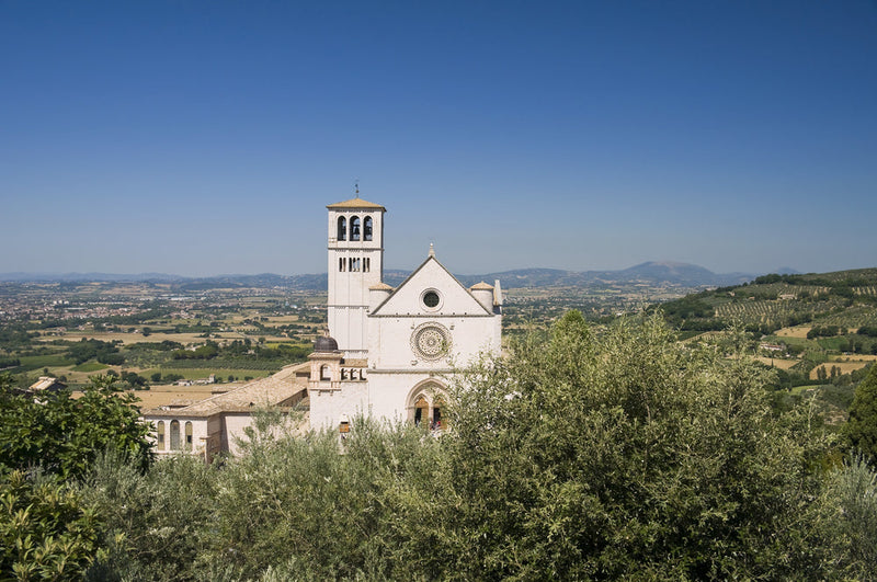 DOP Umbria MARFUGA 