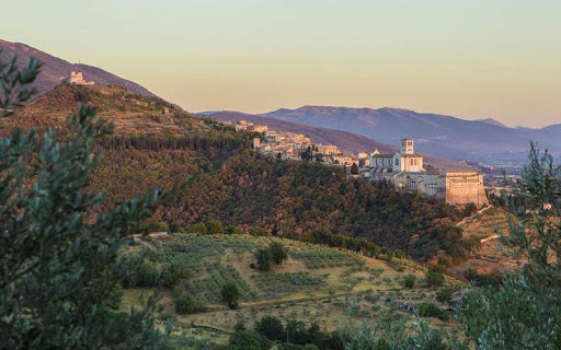 DOP Umbria MARFUGA