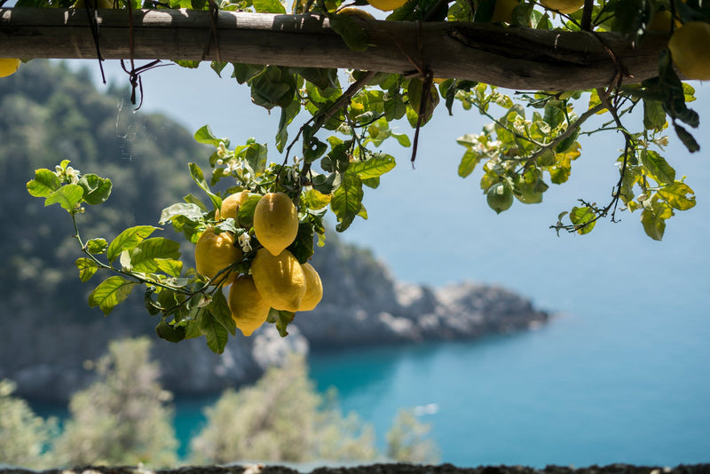 lemon