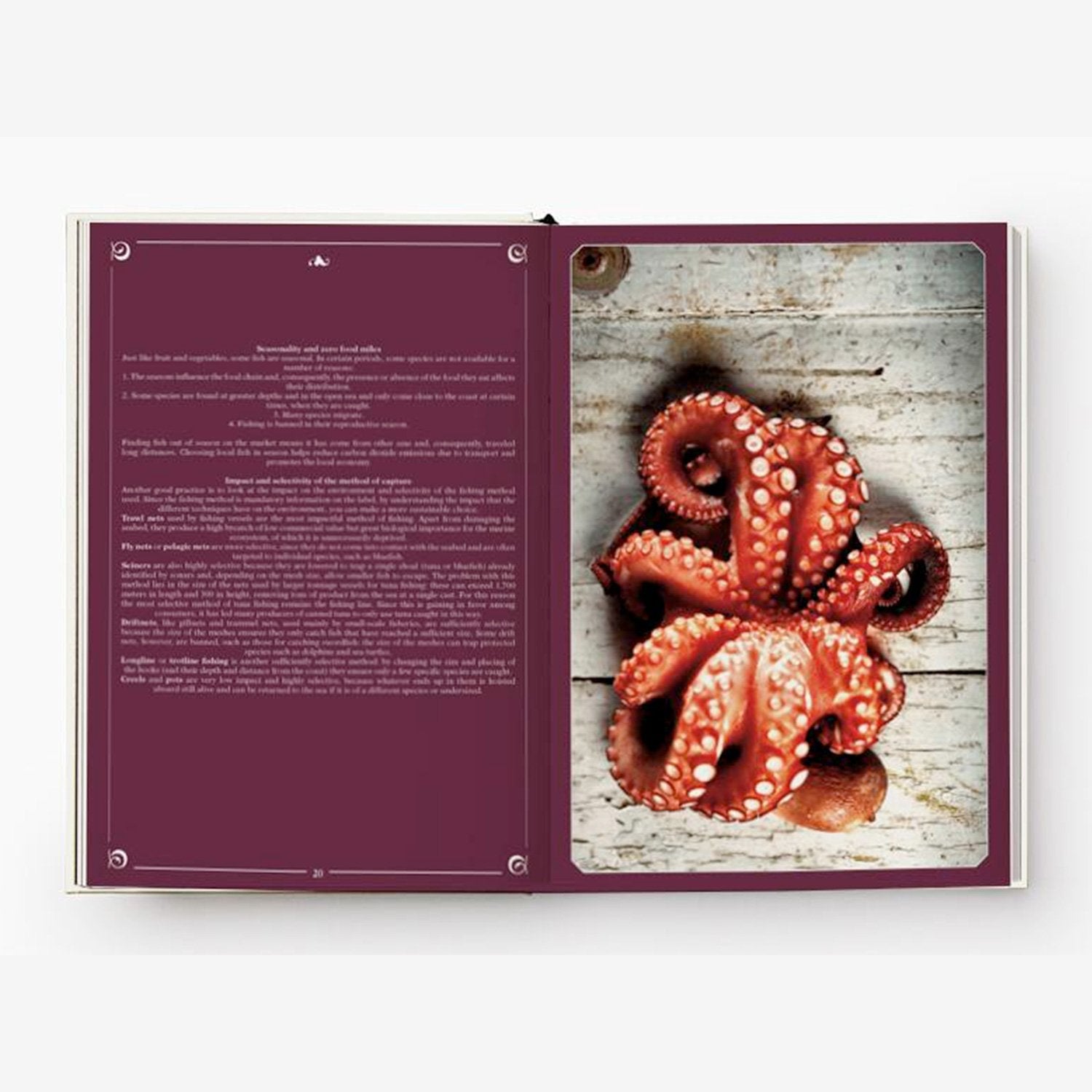 Polpo e Spada – Fang des Tages – Rezepte und kulinarische Abenteuer in Süditalien