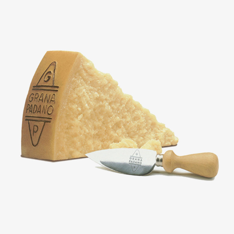 grana padano cheese